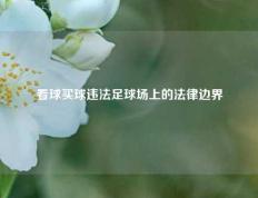 看球买球违法足球场上的法律边界