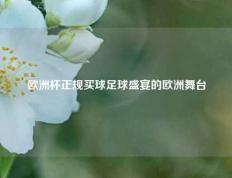 欧洲杯正规买球足球盛宴的欧洲舞台