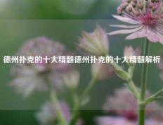 德州扑克的十大精髓德州扑克的十大精髓解析