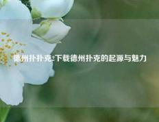 德州扑扑克2下载德州扑克的起源与魅力