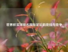世界杯买球排名国际足坛的竞技与竞争