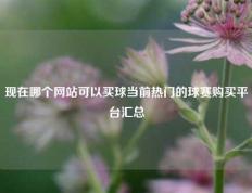 现在哪个网站可以买球当前热门的球赛购买平台汇总