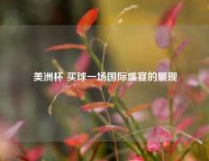 美洲杯 买球一场国际盛宴的展现