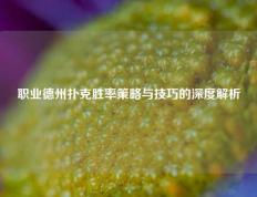 职业德州扑克胜率策略与技巧的深度解析