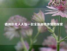 德州扑克人人版一款全新游戏体验的探索