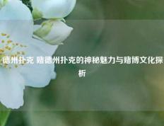 德州扑克 赌德州扑克的神秘魅力与赌博文化探析