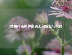 德州扑克棋牌指尖上的智慧与策略