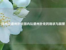 国内玩德州扑克国内玩德州扑克的现状与前景