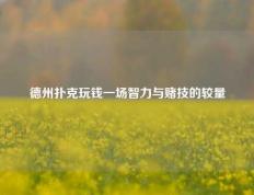 德州扑克玩钱一场智力与赌技的较量