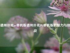 德州扑克pc单机版德州扑克PC单机版的魅力与挑战