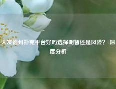 大发德州扑克平台好吗选择明智还是风险？-深度分析