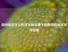 请问你在什么软件买球在哪个应用商店购买足球彩票
