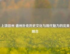 上饶信州 德州扑克历史文化与现代魅力的完美融合