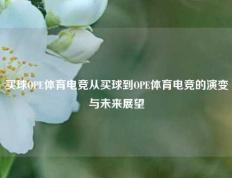 买球OPE体育电竞从买球到OPE体育电竞的演变与未来展望