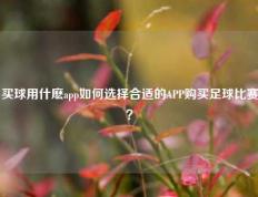 买球用什麽app如何选择合适的APP购买足球比赛？