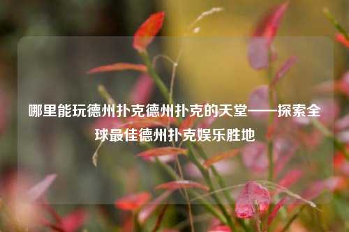 哪里能玩德州扑克德州扑克的天堂——探索全球最佳德州扑克娱乐胜地