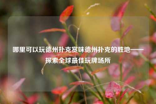 哪里可以玩德州扑克赏味德州扑克的胜地——探索全球最佳玩牌场所