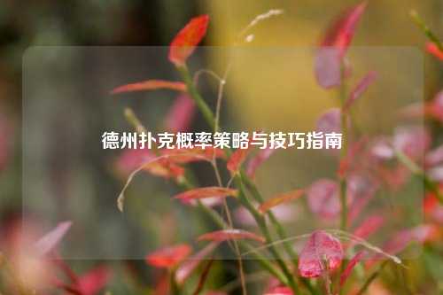 德州扑克概率策略与技巧指南