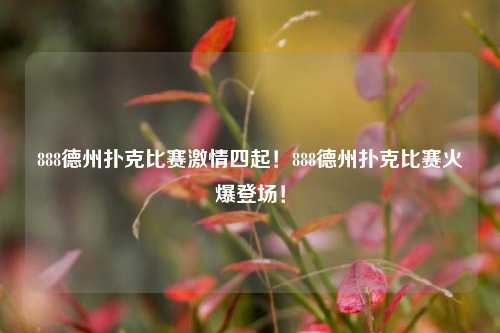 888德州扑克比赛激情四起！888德州扑克比赛火爆登场！