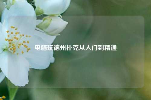 电脑玩德州扑克从入门到精通