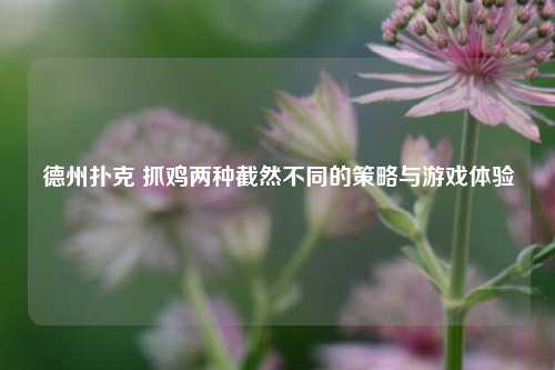 德州扑克 抓鸡两种截然不同的策略与游戏体验