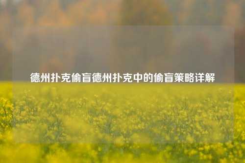德州扑克偷盲德州扑克中的偷盲策略详解