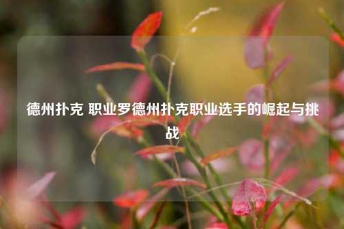 德州扑克 职业罗德州扑克职业选手的崛起与挑战