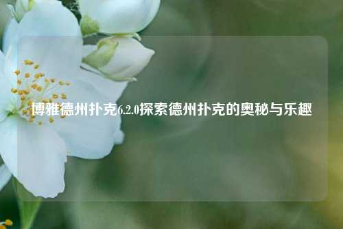 博雅德州扑克6.2.0探索德州扑克的奥秘与乐趣
