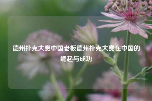 德州扑克大赛中国老板德州扑克大赛在中国的崛起与成功