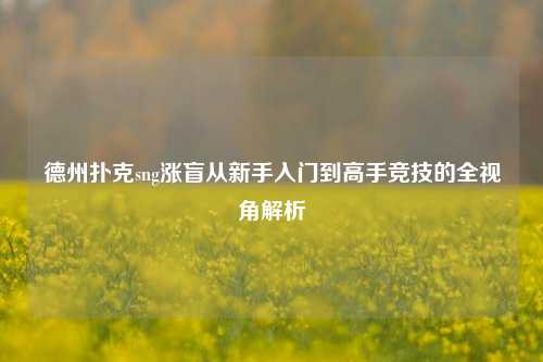德州扑克sng涨盲从新手入门到高手竞技的全视角解析