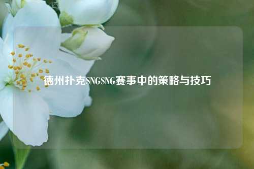 德州扑克SNGSNG赛事中的策略与技巧