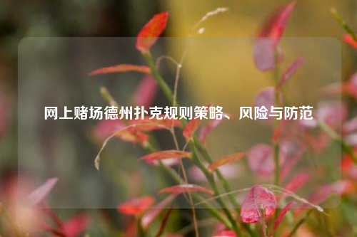 网上赌场德州扑克规则策略、风险与防范