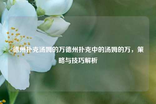 德州扑克汤姆的万德州扑克中的汤姆的万，策略与技巧解析