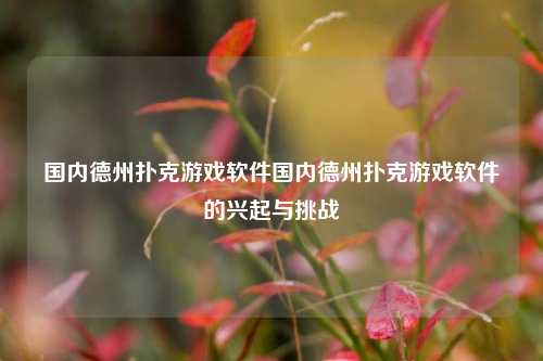 国内德州扑克游戏软件国内德州扑克游戏软件的兴起与挑战