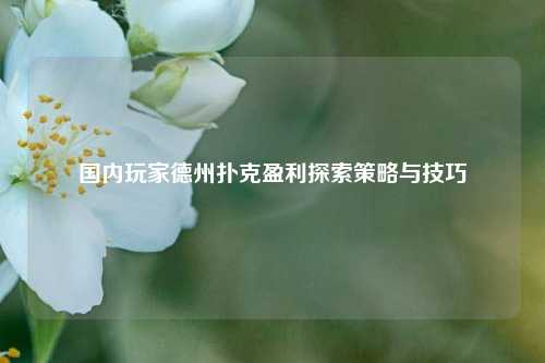 国内玩家德州扑克盈利探索策略与技巧
