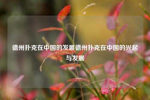 德州扑克在中国的发展德州扑克在中国的兴起与发展
