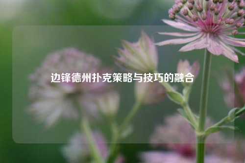边锋德州扑克策略与技巧的融合