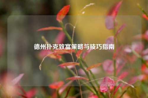德州扑克致富策略与技巧指南