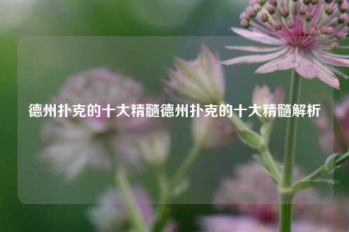 德州扑克的十大精髓德州扑克的十大精髓解析
