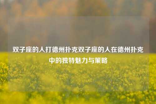 双子座的人打德州扑克双子座的人在德州扑克中的独特魅力与策略