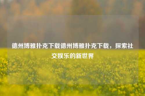 德州博雅扑克下载德州博雅扑克下载，探索社交娱乐的新世界
