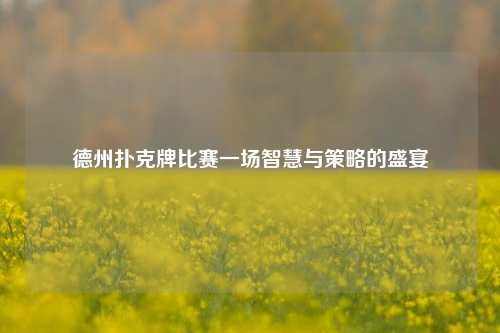 德州扑克牌比赛一场智慧与策略的盛宴