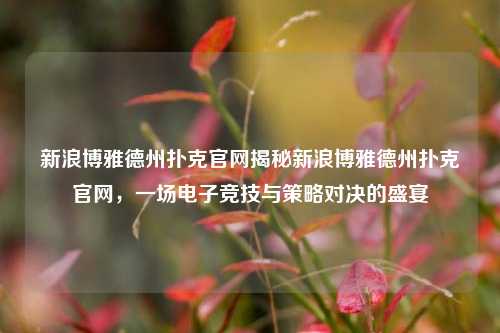 新浪博雅德州扑克官网揭秘新浪博雅德州扑克官网，一场电子竞技与策略对决的盛宴