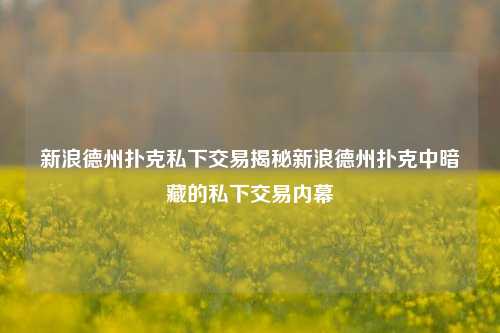 新浪德州扑克私下交易揭秘新浪德州扑克中暗藏的私下交易内幕