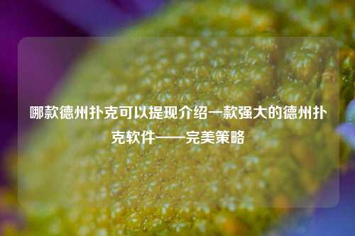 哪款德州扑克可以提现介绍一款强大的德州扑克软件——完美策略