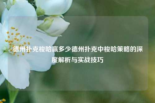 德州扑克梭哈赢多少德州扑克中梭哈策略的深度解析与实战技巧