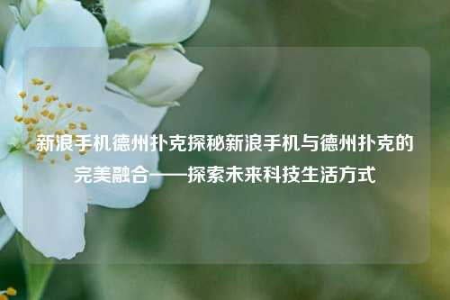 新浪手机德州扑克探秘新浪手机与德州扑克的完美融合——探索未来科技生活方式
