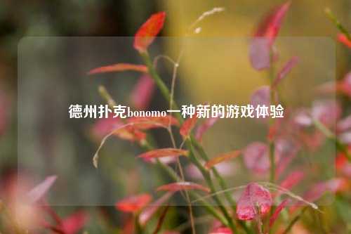 德州扑克bonomo一种新的游戏体验