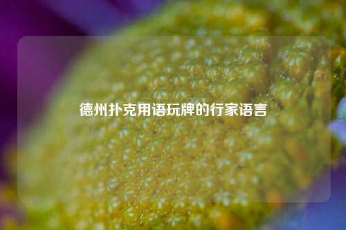 德州扑克用语玩牌的行家语言
