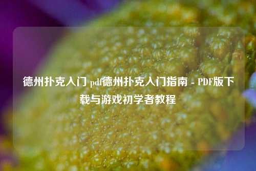 德州扑克入门 pdf德州扑克入门指南 - PDF版下载与游戏初学者教程